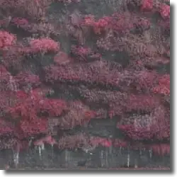 Cover: Sleep Token - Damocles