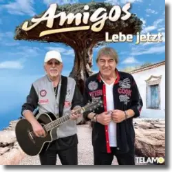 Cover: Amigos - Pettycoat und Rock'n'Roll