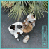 Cover Platz 21