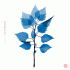 Cover Platz 21