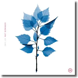 Cover: Matt Berninger - Get Sunk