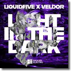 Cover: liquidfive x Veldor - Light In The Dark