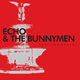 Cover: Echo & The Bunnymen - The Fountain