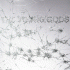 Cover: The Young Gods - Appear Disappear