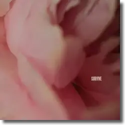 Cover: Lewis Capaldi - Survive