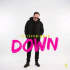 Cover: Freischwimmer - Down