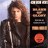 Cover: Jon Bon Jovi - Blaze Of Glory