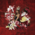 Cover Platz 95