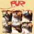 Cover: PUR - Lena
