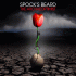 Cover: Spock's Beard - The Archaeoptimist