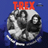 Cover: T. Rex - Metal Guru