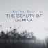 Cover: The Beauty Of Gemina - Endless Ever