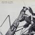 Cover: Courtney Barnett - Creature Of Habit