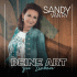 Cover: Sandy van Ry - Deine Art zu lieben