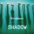 Cover: B!rnbaum - Shadow