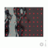 Cover Platz 12