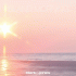 Cover Platz 3