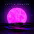 Cover Platz 8