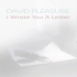 Cover: David Pleasure - I Wrote You A Letter