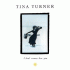 Cover: Tina Turner - I Don't Wanna Lose You