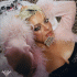 Cover: Bebe Rexha - Dirty Blonde