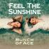Cover: Bunch of Ace - Feel The Sunshine