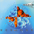 Cover Platz 24