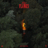 Cover: La Roux - Old Flames