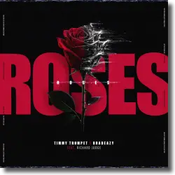 Cover: Timmy Trumpet feat. Richard Judge - Roses