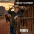 Cover: Buddy - Ein echter Cowboy