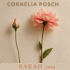 Cover: Cornelia Posch - Sarah 2026