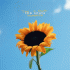 Cover: The Snuts - Joy In Short Moments