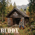 Cover: BUDDY - Der Typ der immer lachte
