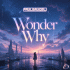 Cover: Paul Brugel - Wonder Why