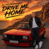 Cover: DJ Housefarben - Drive Me Home