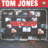 Cover: Tom Jones & Mousse T - Sexbomb