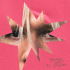 Cover Platz 25