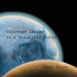 Cover: Roger Taylor - Violence Insane In A Beautiful World