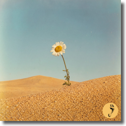 Cover: NEIKED & Portugal. The Man - Some Kind Of High