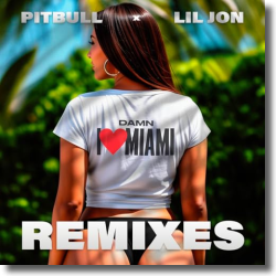 Cover: Pitbull & Lil Jon - Damn I Love Miami