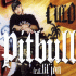 Cover: Pitbull feat. Lil Jon - Culo