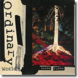 Cover: Duran Duran - Ordinary World