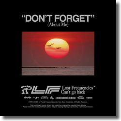Cover: Lost Frequencies - Don't Forget (About Me)