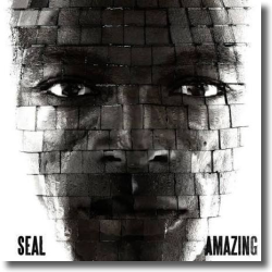 Cover: Seal - Amazing