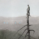 Cover Platz 27