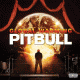 Cover: Pitbull - Global Warming