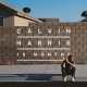 Cover: Calvin Harris - 18 Months