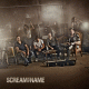 Cover: Scream Your Name - Scream Your Name