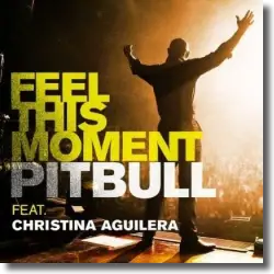 Cover: Pitbull feat. Christina Aguilera - Feel This Moment