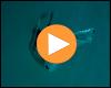 The Chainsmokers & makko – Inundauswendig